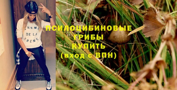 гашик Армянск