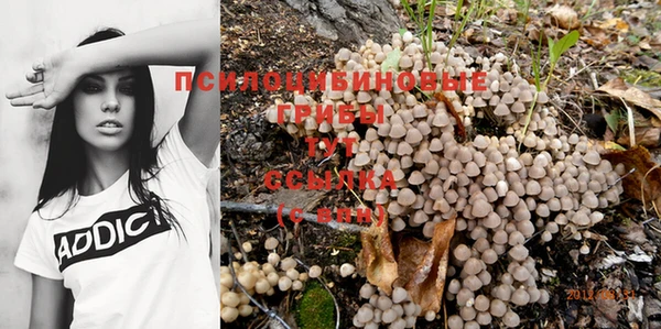 гашик Армянск